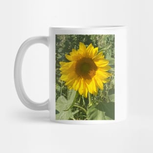 A Happy Sunflower Sunbathing and Soaking up the Summer Sun - Sunflower Alliteration! Mug